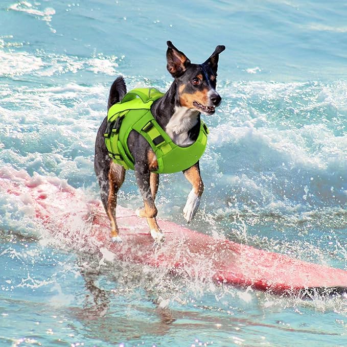 Queenmore XS Dog Life Jacket,Reflective Small Dog Life Vest for Swimming Boating,Adjustable Pet Life Vest for Extra Small Dogs with High Buoyancy,Safety Dog Swimming Vest with Handle(Green,XS)
