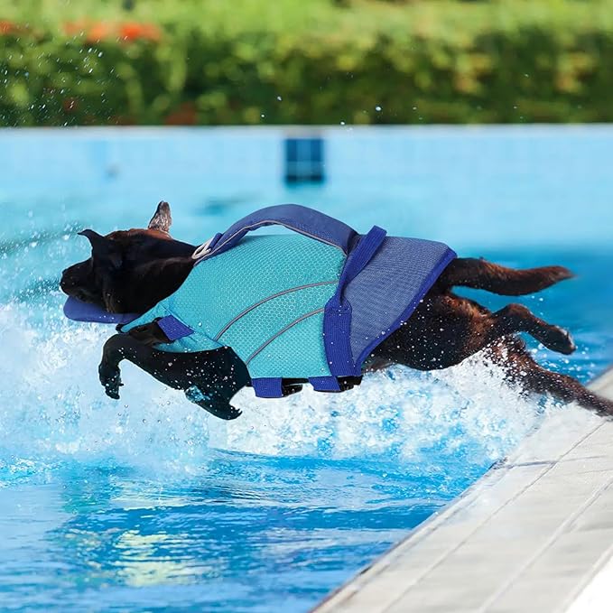 Queenmore Dog Life Jackets for Large Dogs, Reflective Dog Swimming Vest with Enhanced Buoyancy, High Visibility Life Preserver with Front Neck Float, Ripstop Pet Lifesaver (Blue,2XL)