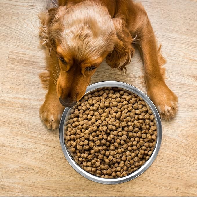 12 Pcs 8 Cup Metal Dog Bowls Travel Kennel Food and Water Dish for Medium Large Size Dogs Cats, 64 Oz Thickened Stainless Steel Bowls