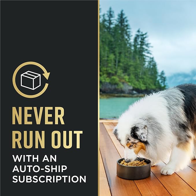 Purina Pro Plan Small Breed 7 Plus Shredded Blend Chicken and Rice Formula Senior Dog Food - 6 lb. Bag