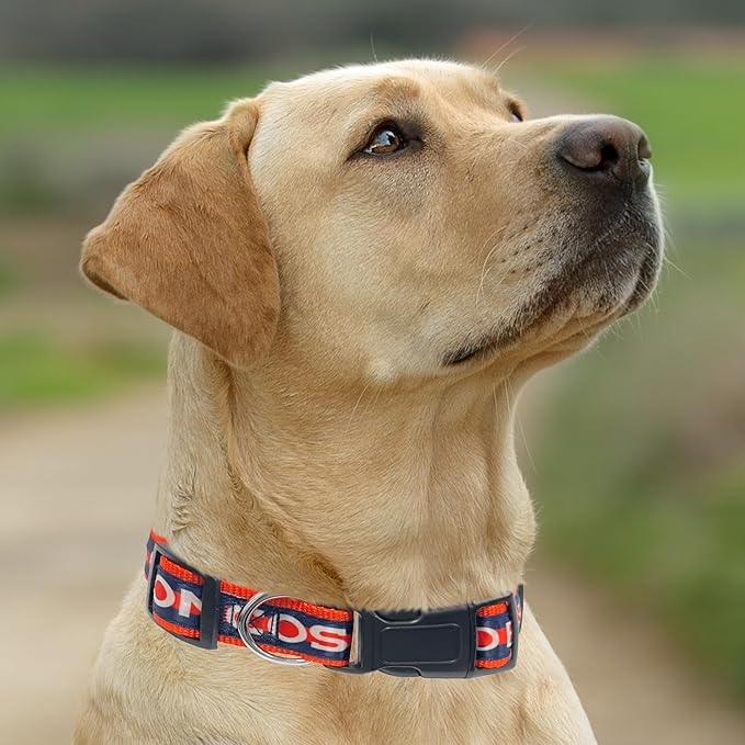 Pets First NFL Denver Broncos Licensed PET COLLAR, Medium - Heavy-Duty, Strong, and Durable Dog Collar. Available in 31 Football Teams and 4 Sizes