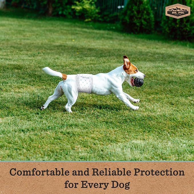 Dr. Pol Male Dog Diapers – Super Absorbent, Breathable, Leak-Proof with Wetness Indicator, Large, 50 Count
