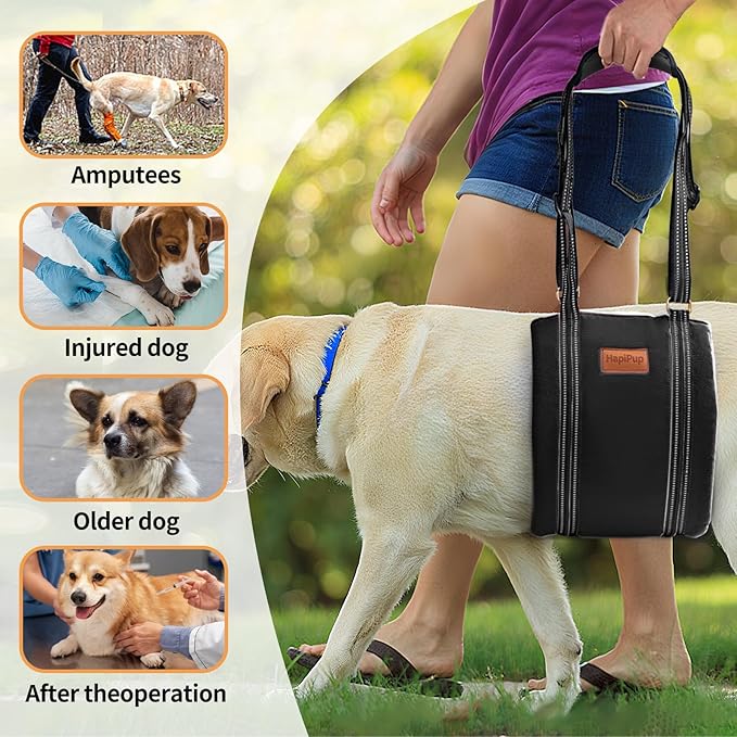 Dog Lift Harness for Large Dogs, Adjustable Comfortable Dog Sling with Handle, Knee & Rear Leg Support for Torn ACL Rehabilitation, Weak Rear Legs, Helps Senior, Disabled Canines(Black,XL)