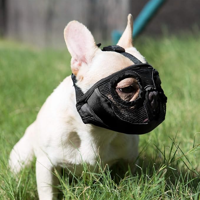 Short Snout Dog Muzzle- Adjustable Breathable Mesh Bulldog Muzzle for Biting Chewing Licking Grooming Dog Mask,Black M