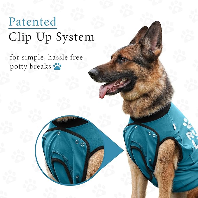 BellyGuard Dog Surgery Recovery Suit, Dog Onesie for Post-Op Care, Recovery Apparel for Female and Male, Surgical Body Cover for Canine Healing Support