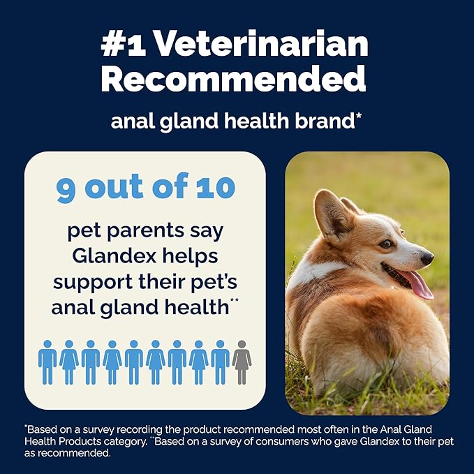Vetnique Glandex Daily Probiotics for Dogs with Prebiotics to Support Gut Health with Fiber and Digestive Enzymes, Dog Probiotic Chews or Powders (120ct Chews, Bacon Chews)