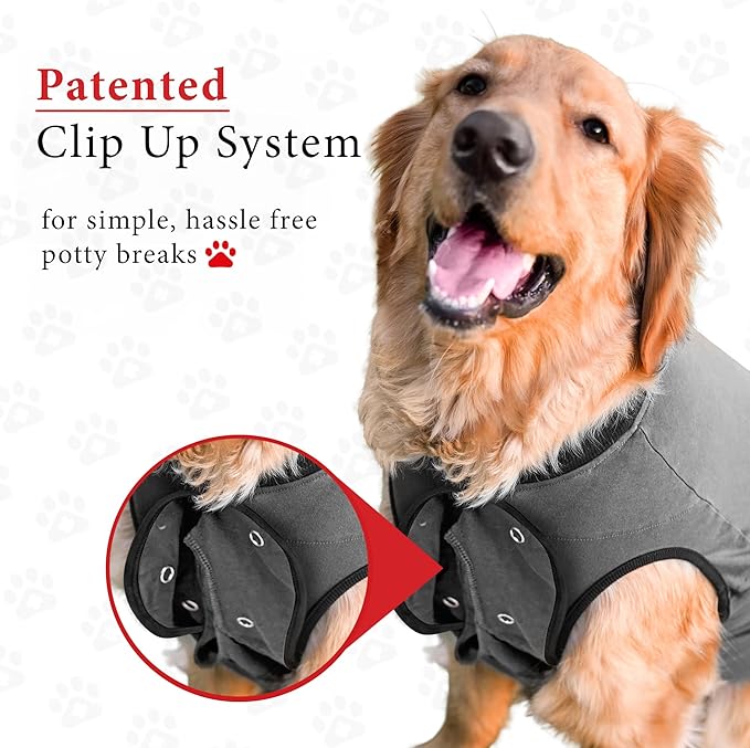 BellyGuard Dog Surgery Recovery Suit, Dog Onesie for Post-Op Care, Recovery Apparel for Female and Male, Surgical Body Cover for Canine Healing Support