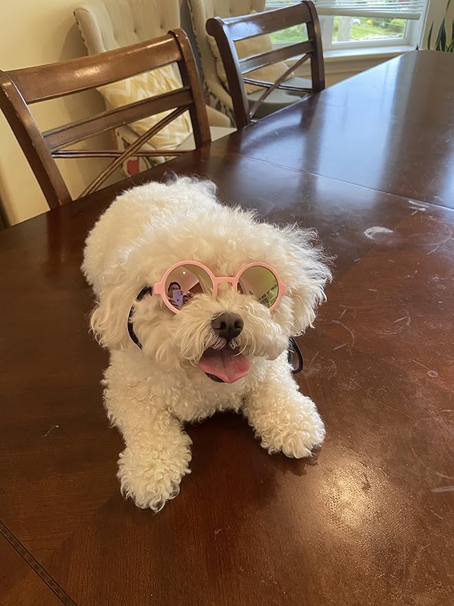 G016 Dog Pet Round Sunglasses Goggles for Small Dogs up to 15lbs (Pink-Pink Mirror)