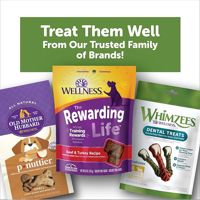 Whimzees Wellness Alligator Dog Dental Treats, Large Size, (6 Count)