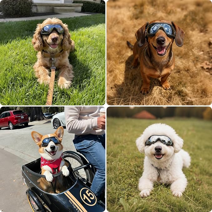PETLESO Dog Goggles for Small Breeds, UV Protection Dog Sunglasses with Adjustable Straps, Outdoor Windproof Pet Eyewear for Small to Medium Pet, Soft Frame, M