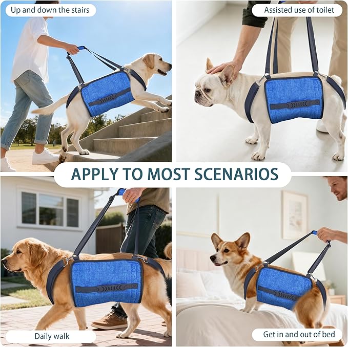Adjustable Dog Lift Harness, Dog Carry Sling Provides Rear Leg Support for Arthritis and After ACL Surgery Dogs,Suitable for Medium to Large Dogs,XL