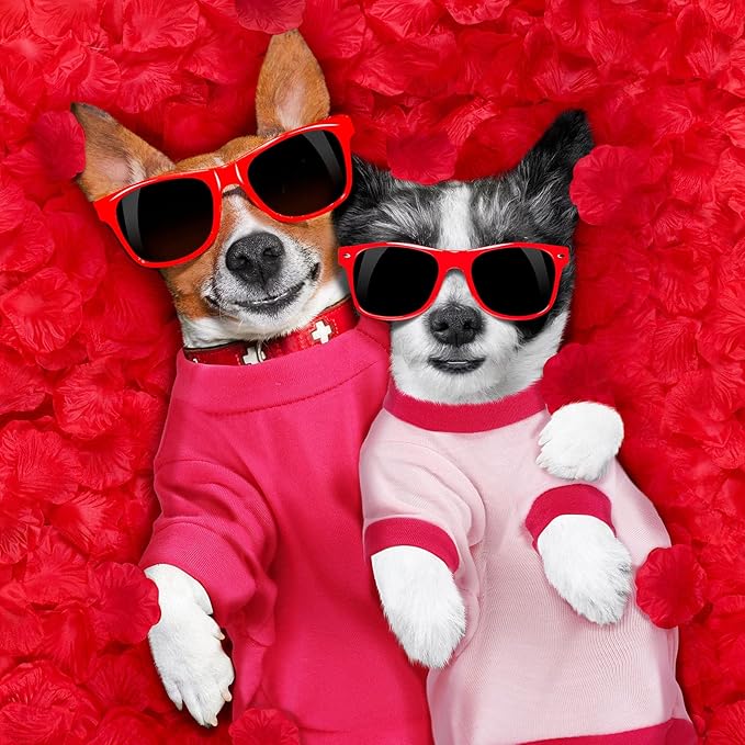 Weewooday 5 Pieces Valentine‘s Day Dog Shirt for Small Dogs Girl Small Dog Puppy Clothes for Chihuahua Yorkie Bulldog Schnauzer Breathable Shirt Vest(Large)
