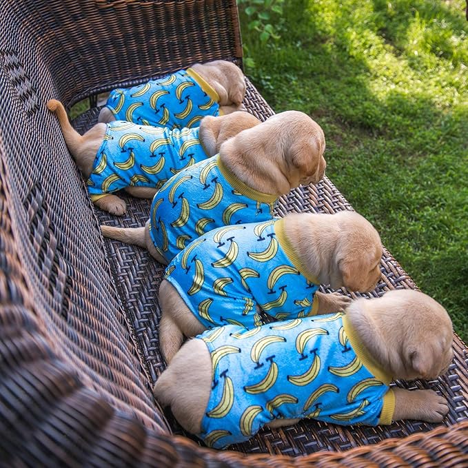 CuteBone Soft & Stretchy Dog Pajamas - Cozy Pet Jammies Breathable Jumpsuit for Small Dogs - All-Season Comfy Outfit Easy-On Pullover Design - Keeps Pets Warm & Comfortable P06XS