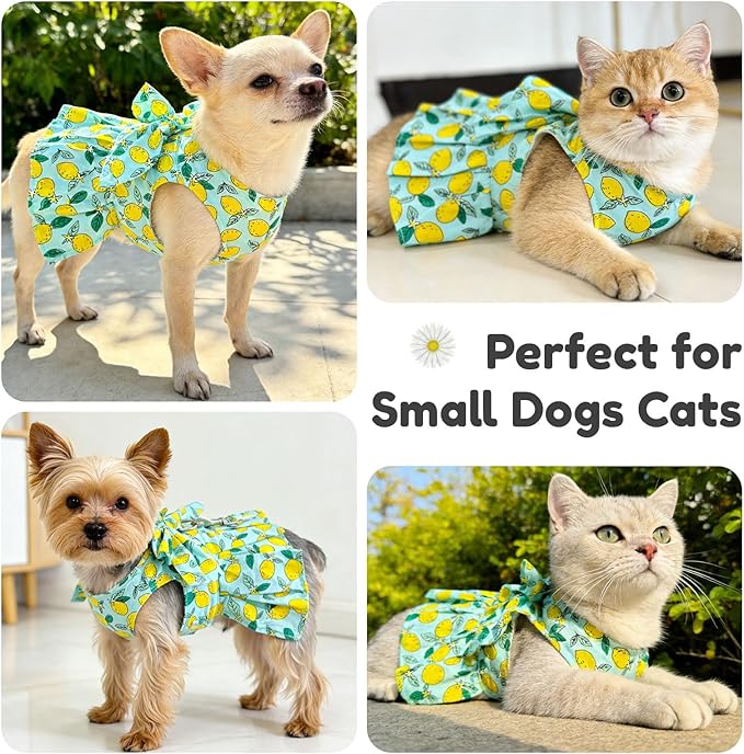 BAEJMJK Dog Dress Bowknot Harness Leash Set for Small Dogs Cats Girl Floral Princess Dog Dresses Cute Puppy Fruit Clothes Pet Doggy Outfits Spring Summer Breathable Dresses(Green,Medium)