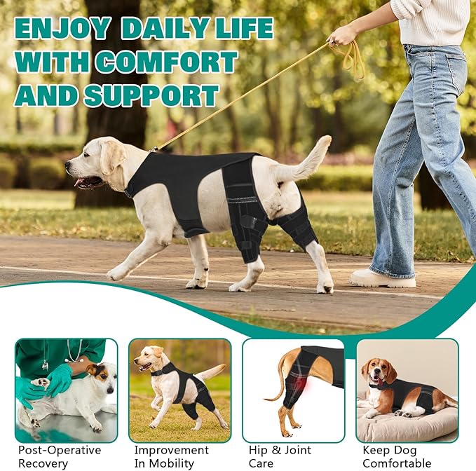 Dog Knee Brace for Hind Legs ACL Support - Adjustable Double Back Leg Brace for Dogs with Joint Pain Relief, Luxating Patella, Arthritis Recovery, Hip Dysplasia (Small)