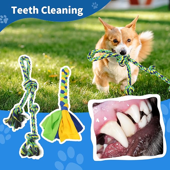 Outdoor Dog Toy,Interactive Dog Toys Outside Tug of War Dog Toy Interactive Exercise Game for Small Medium Large Dogs in Yard Park Playground Play Equipment