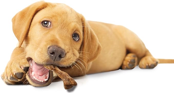 Nylabone Healthy Edibles WILD Natural Long-Lasting Turkey Flavor Bone Chew Treats for Dogs, Small/Regular (4 Count)