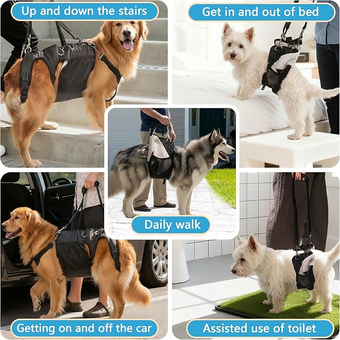 Dual-use Dog Lift Rehab Hareness Canine Sling for Large Pooch Rear Legs and Hip Support,Adjustable and Soft Brace Strap for After ACL Surgery, Helps Senior, Injured and Disabled K9.
