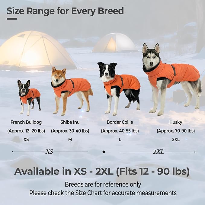 Dog Winter Coat, Warm Puffer Jacket with Fur-Safe Buckle & Leash Hole for Cold Weather, Water-Repellent Snow Vest, Breathable Thermal Apparel for Hiking & Active Dogs (Aurantium, X-Small)