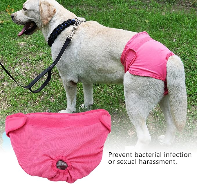 SUNGOOYUE Reusable Dog Diapers Female, Polyester Elastic Dog Physiological Pants with Adjustable Fit for Heat Cycle 11.8-29.5in for Small Medium Large Dogs (M)