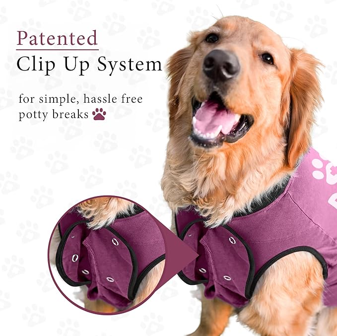 BellyGuard Dog Surgery Recovery Suit, Dog Onesie for Post-Op Care, Recovery Apparel for Female and Male, Surgical Body Cover for Canine Healing Support