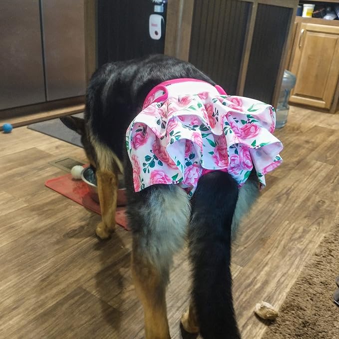 wegreeco Washable Dog Diapers Female (3 Pack), Highly Absorbent Dog Diapers for Female Dogs in Heat, Period, Incontinence, or Excitable Urination (Ocean of Flowers, Medium)