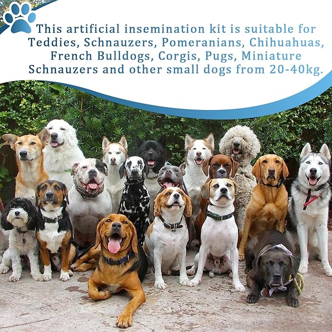 Wadoy Dog Artificial Insemination Kit for 20-40KG Dogs Corgi Semen Device Canine Insemination πΌπππππ
π Bulldog Insemination Tools