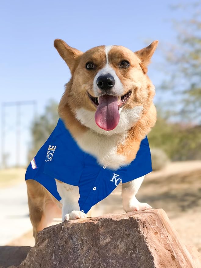 Official MLB Kansas City Royals Pet Jersey for Dogs & Cats, Size X-Large - Stylish Baseball Jersey for Your Furry Fan- Show Off Team Spirit with The Perfect Fan Apparel Gear for Pet, Dog & Cat