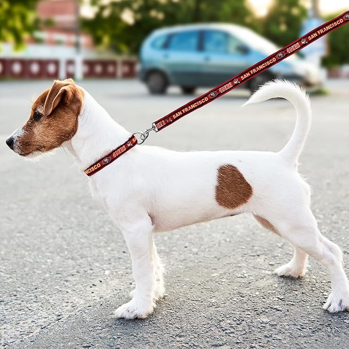 Pets First NFL San Francisco 49ers Licensed PET COLLAR, Small - Heavy-Duty, Strong, and Durable Dog Collar. Available in 31 Football Teams and 4 Sizes