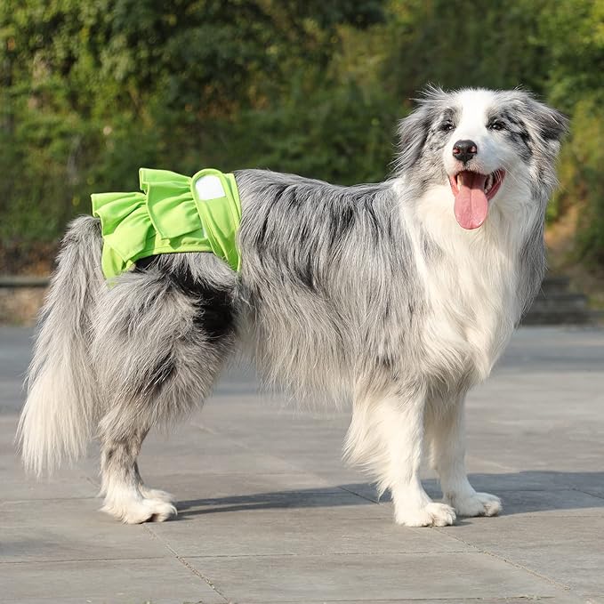 Reusable Dog Diapers Female 3 Pack Washable Highly Absorbent Doggie Diapers, Flexible Doggy Diapers Female, Leak-Proof Puppy Diapers for Dog Period Heat Incontinence Potty Training, M