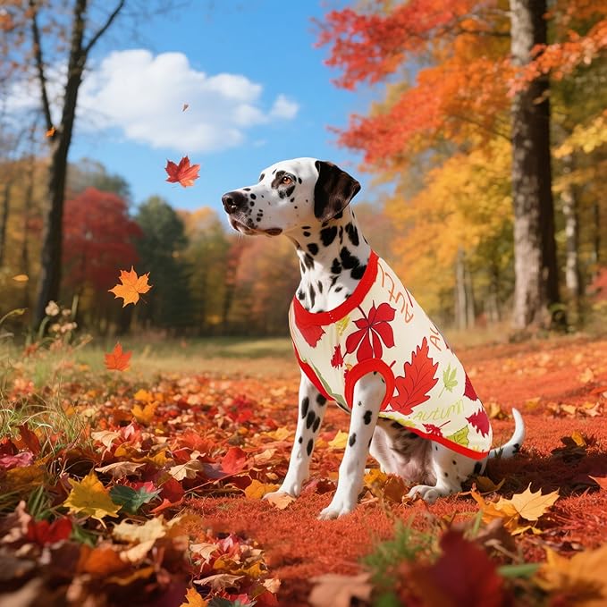 Dog Shirts for XXXL Dogs Sleeveless Red Yellow Tank Top Tee Clothes Vest Autumn Red Yellow Pumpkin Maple Leaves Light Weight Stretchable Soft for Girl Boy Female Male Outfit XXXL Pack of 2