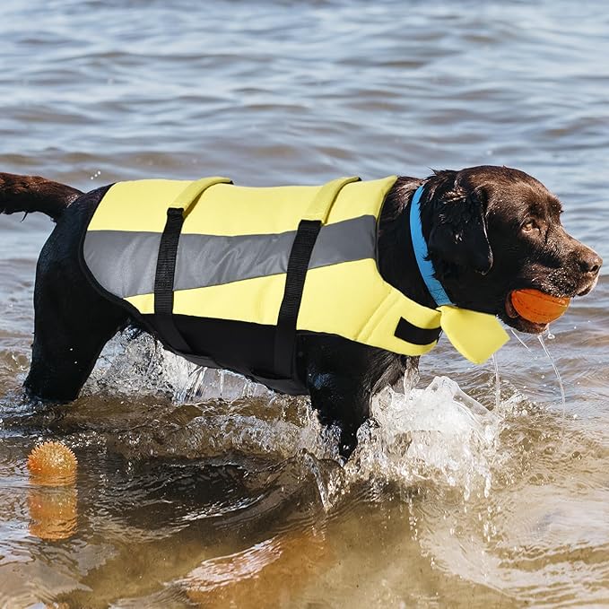 Amazon Basics Dog Adjustable Life Jacket with Reflective Stripes, Yellow, Large