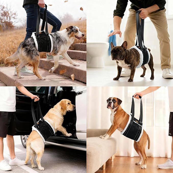 LumoLeaf Dog Lift Harness Sling for Back Legs, Adjustable Rear Leg Support & Mobility Aid, Hip Support for Senior/Disabled Dogs, Soft Fleece Lining, Padded Handles, for CCL/ACL Surgery (Extra Large)