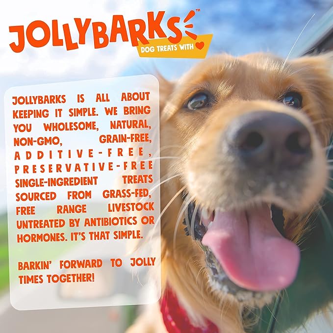 Bully Sticks for Small Dogs (1lb Bag) All Natural, Single Ingredient Bully Sticks for Puppies to Medium Dogs (Bully Bites)