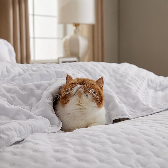 Bedsure California King Quilt - Bright White Bedspread California King Size & Lightweight Comforter, Modern Coverlet with Clover Pattern, Ultra Soft All-Season Bedding, 111x106 Inches | Stitch-Free Quilting, Ultra Soft, Lightweight, Machine Washable, P...
