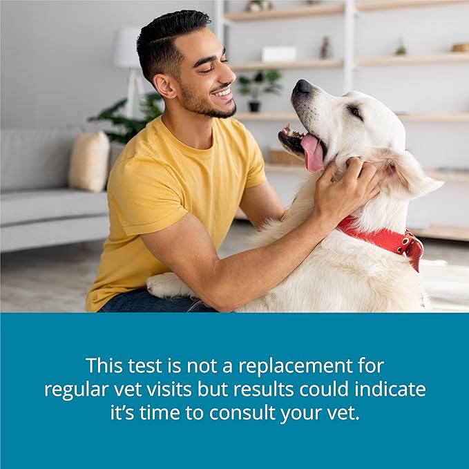 Petivity At-Home Oral Health Test for Cats & Dogs — 10-Second Dental Check Kit by Purina — Simple Saliva Swab to Detect Bad Breath & Gum Issues - (Pack of 3)