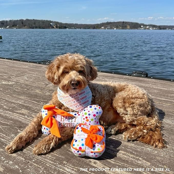 Haute Diggity Dog Happy Birthday Bone, Plush Designer Dog Toys with Interactive Squeaker, Stimulating Pet Enrichment, Machine-Washable & Safe Materials for All Breeds, Size XL