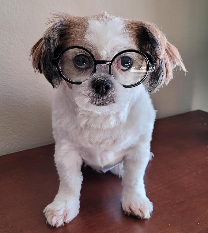 G002 Dog Pet Clear Lens Costume Glasses Small to Medium Breeds 12LBS~30LBS Prop Photoshoot Sunglasses (Round Black-Clear)