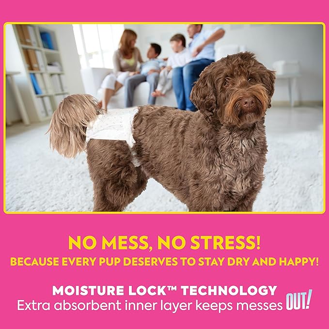 Out! PetCare Disposable Dog Diapers Female, Potty Training, Dog Diapers, Female Doggie in Heat, Puppy Training, Incontinence, Puppy Essentials, Adjustable Fasteners, 18”- 25” Waist (M/L, 96ct)