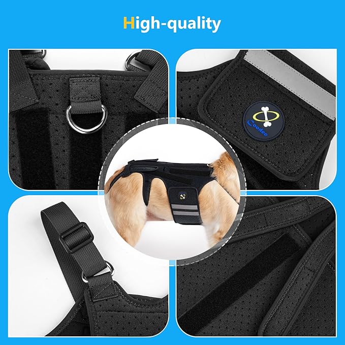 Coodeo Dog Back Brace for Dogs Arthritis, Pet Back Bracer for IVDD, Back Protector Helps Pain Relief, Surgical Recovery and Rehabilitation, Dogs Back Disease Prevention. (Black,Small)
