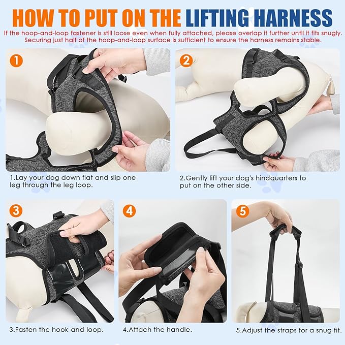 SlowTon Dog Lift Harness - Adjustable Dog Sling for Medium Large Dogs, Hind Leg Support to Help Rehabilitate, Soft Padded Dog Support Harness for Elderly, Injured, Arthritic, Disabled Dogs, S