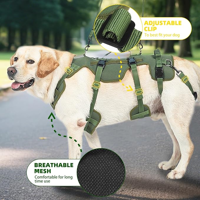 PUPTECK Dog Lift Harness for Medium Large Sized Dog, Rehabilitation Sling for Hind Leg Support, Multifunctional Mobility Assistance Harness for Old, Disabled, Joint Injuries, Paralysis Dogs, Green M