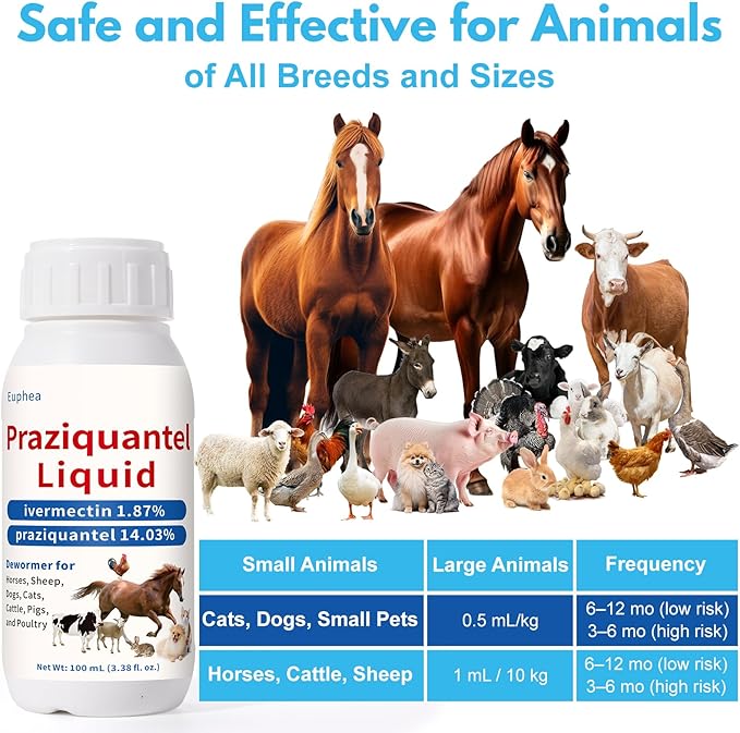 Praziquantel for Horse, Dewormer for Horse, Dogs, Cats, Poultry & More, 14.03% Praziquantel for All Worms, Tapeworms, Roundworms & Hookworms, 100 mL