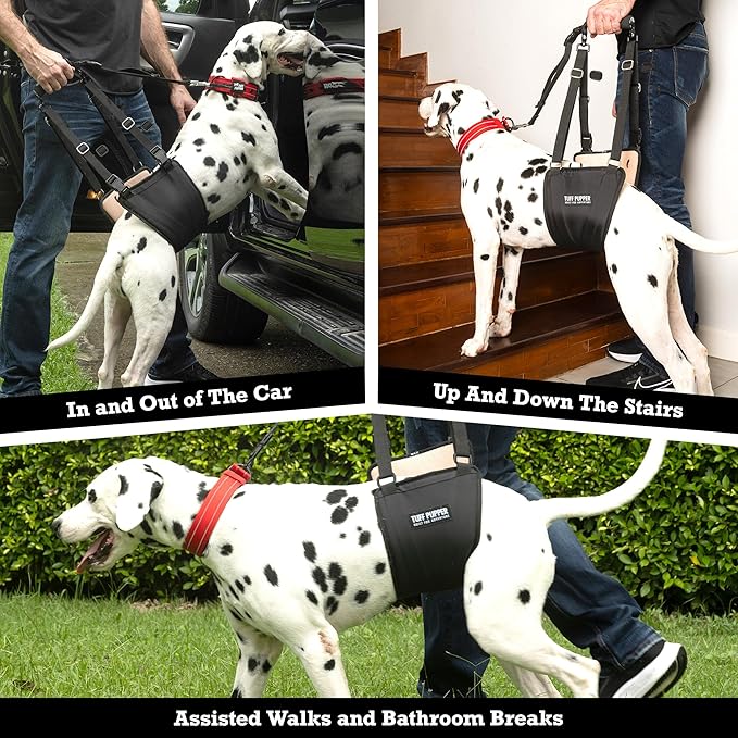Tuff Pupper Dog Sling Hip Harness | Rear Lift Support for Senior & Injured Dogs | Adjustable Mobility Aid | Strong Padded Handle | Comfortable Design | Hip & Hind Leg Assistance (Medium/Large Unisex)