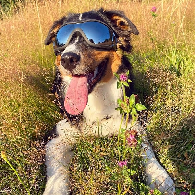 PETLESO Dog Goggles for Large Breeds, UV Protection Dog Sunglasses with Adjustable Straps, Windproof Pet Eyewear for Medium to Large Pets, Soft Frame, L