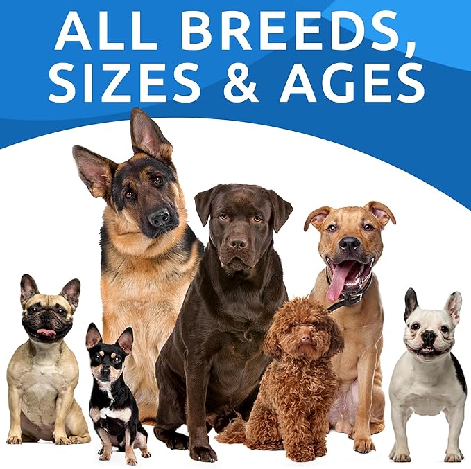 Hemp Chews Dogs Hip Joint Pain Relief - Glucosamine Chondroitin Hemp Treats for Joint Health - Dog Joint Supplement Large Breed & Small - Hemp Oil Pill - Canine Vitamin Treat Old Dog (240Ct/Bacon)