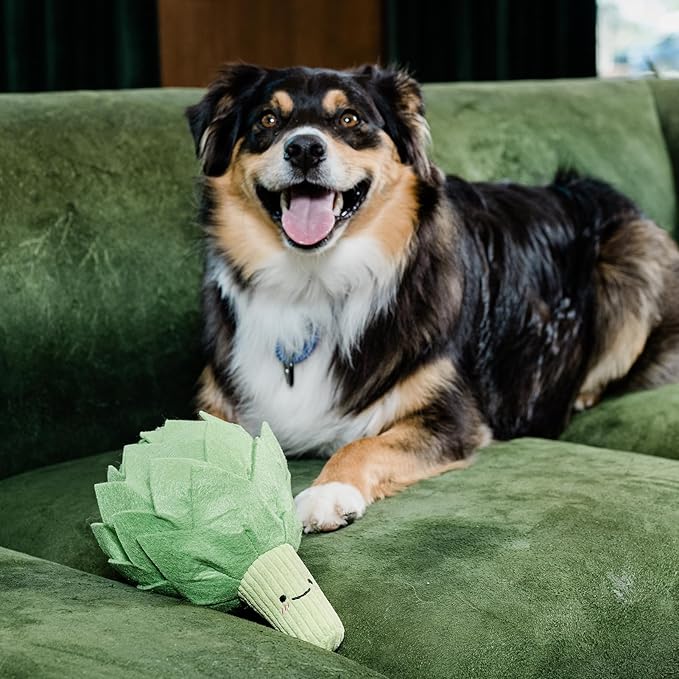 Dog Toys Plush with Squeaky & Treat Hiding Features - Mental Stimulation Enrichment Toy for Large Breed Dogs - Machine Washable Slow Feeder to Keep Dogs Busy,Artichoke