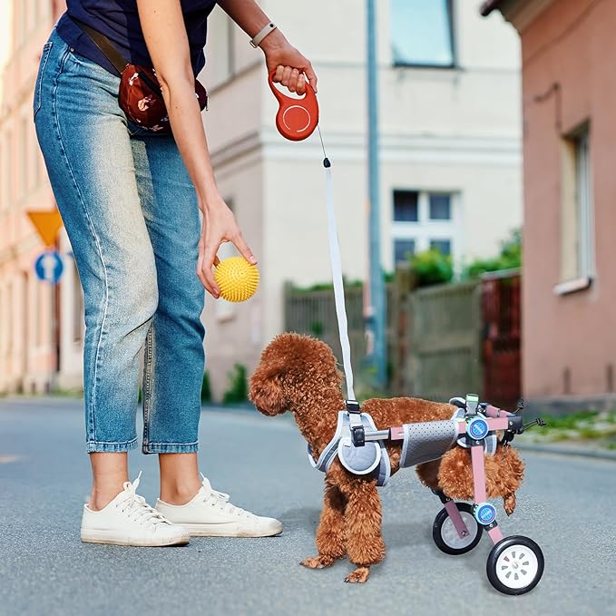 Adjustable Dog Wheelchair for Back Legs Mobility Support Lightweight Pet Wheelchair for Disabled Hind Legs Walking Stable Dog Cart for Pets, Pink (Small)