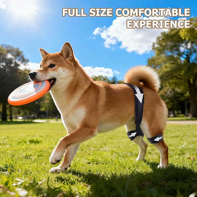 Dog Hip Brace for Hip Dysplasia, Adjustable Dog Hip Support Brace with Targeted Compression, Stabilizes Joints, Relieves Pain from Arthritis, M