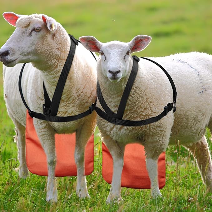 Kajaia Goat Apron Anti Breeding Sheep Skirt Control Buck Anti Mating With Adjustable Strap For Goats And Sheep